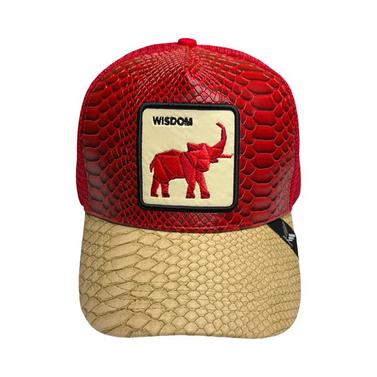 DST Delta Sigma Theta Trucker