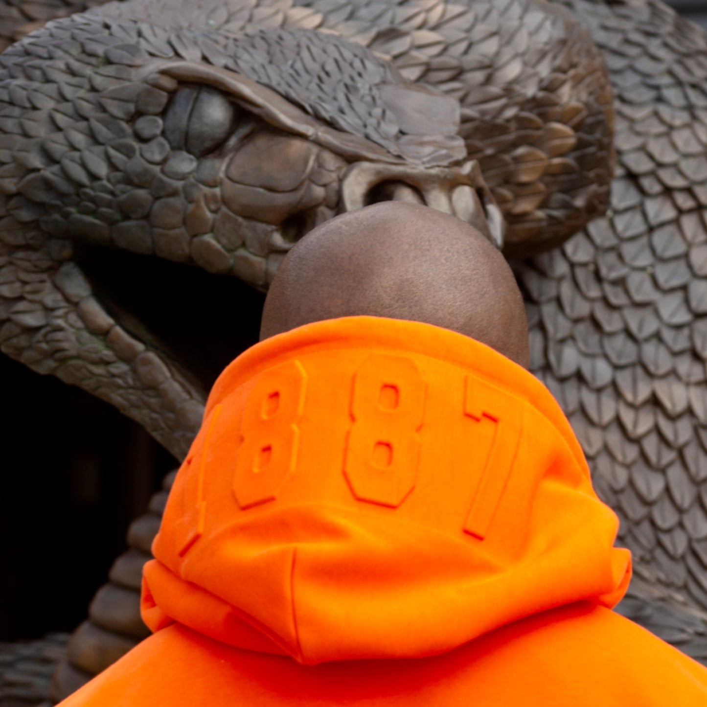 FAMU "The Highest Of Seven Hills" Hoodie | J. Hack Athletics JimiHack