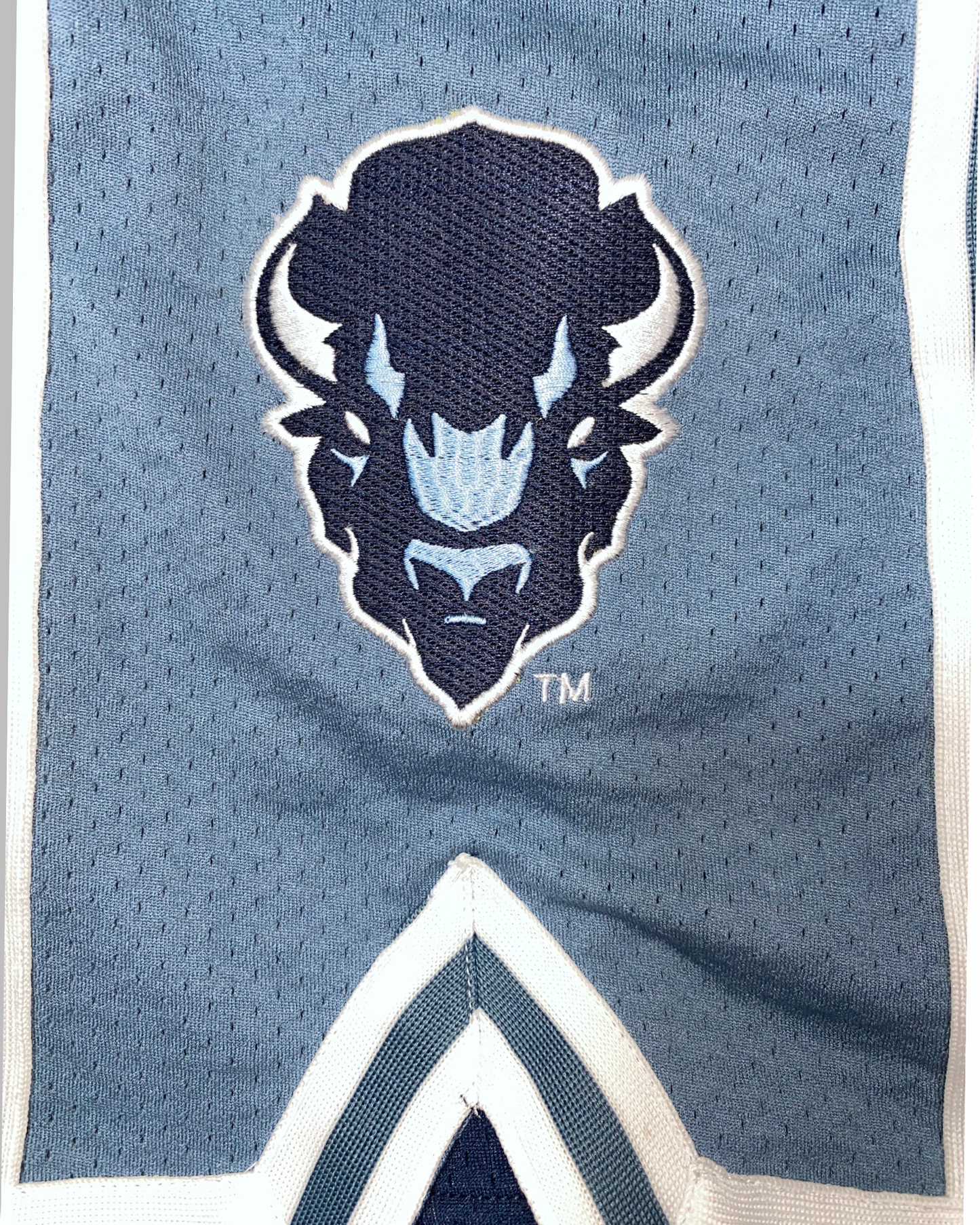 Howard University BISON Athletic Shorts