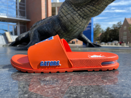 University of Florida Air 'Fast F' Slides