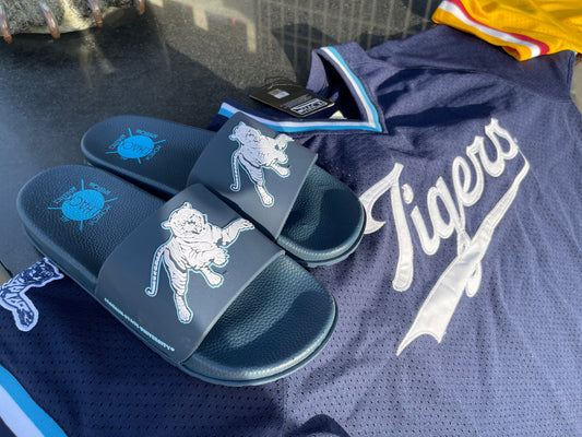 Jackson State University TIGERS Slides